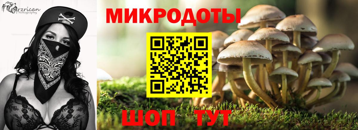 Галлюциногенные грибы Cubensis  Псилоцибиновые грибы прущие грибы  Вход с VPN  Сердобск 