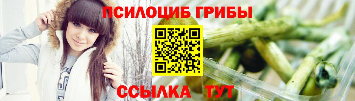 Псилоцибиновые грибы Psilocybe Сердобск
